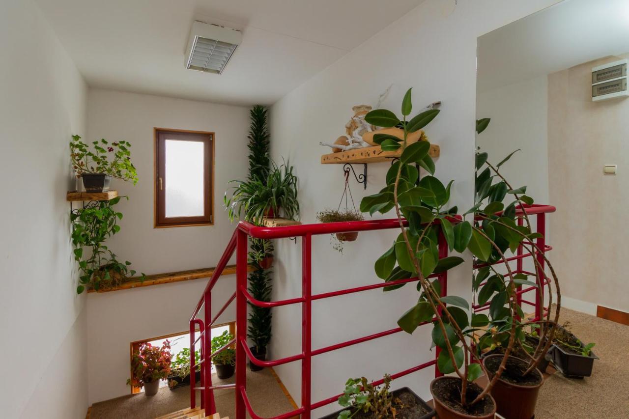 Apartmani Nika Zlatibor Buitenkant foto