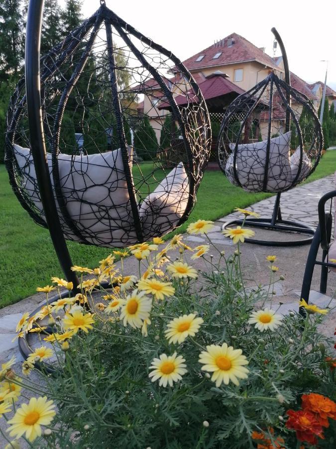 Apartmani Nika Zlatibor Buitenkant foto