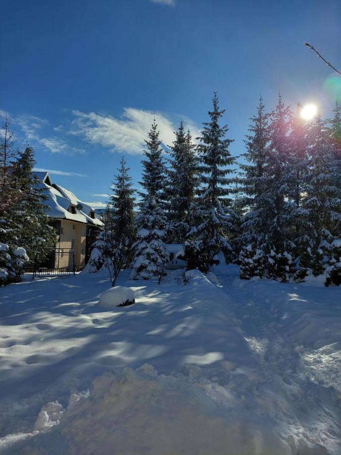 Apartmani Nika Zlatibor Buitenkant foto