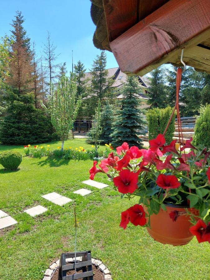 Apartmani Nika Zlatibor Buitenkant foto