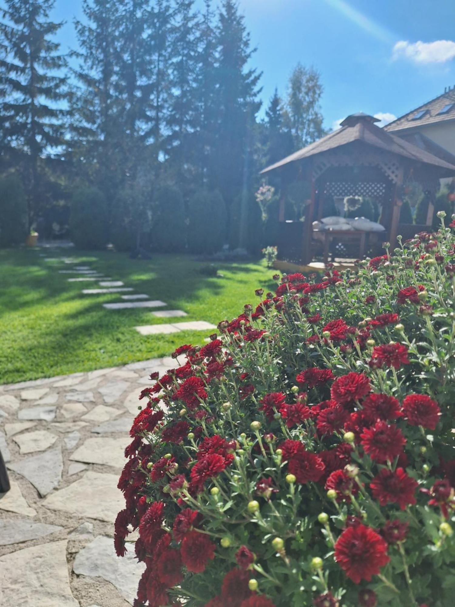 Apartmani Nika Zlatibor Buitenkant foto