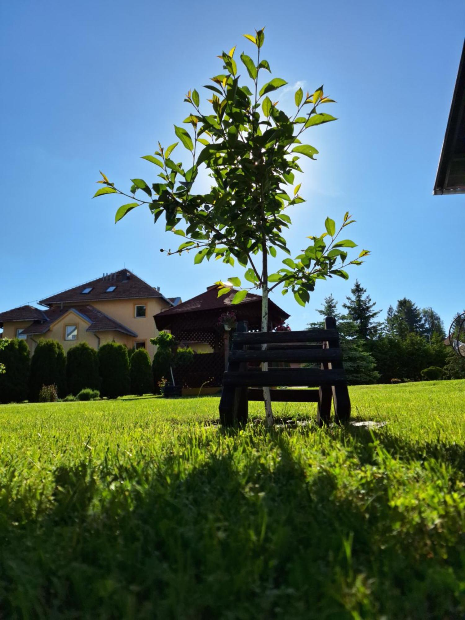 Apartmani Nika Zlatibor Buitenkant foto