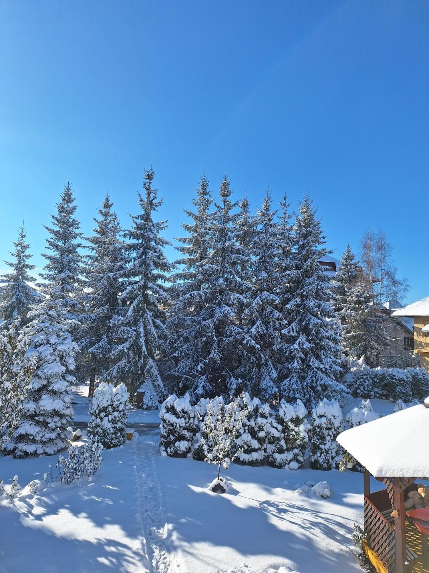 Apartmani Nika Zlatibor Buitenkant foto