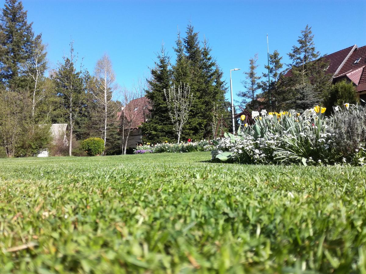 Apartmani Nika Zlatibor Buitenkant foto