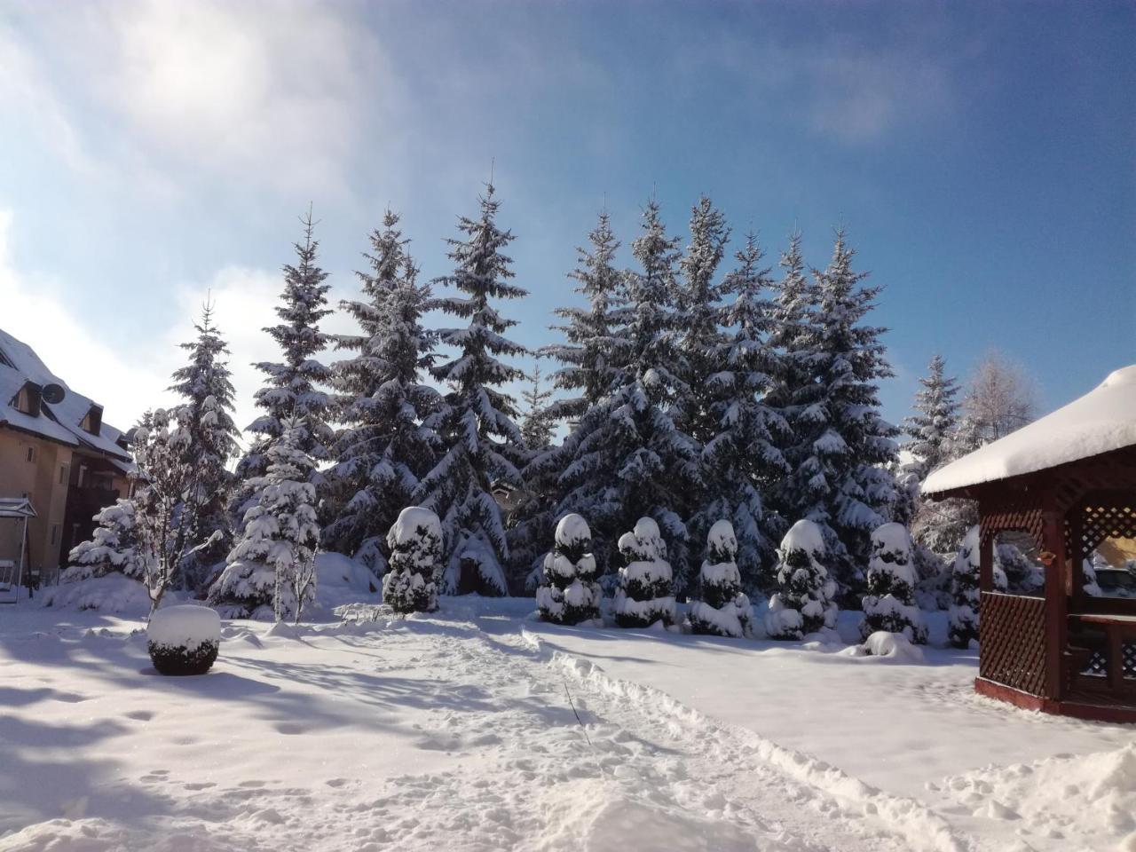 Apartmani Nika Zlatibor Buitenkant foto